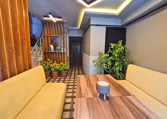 Отель The Sunrise 3*